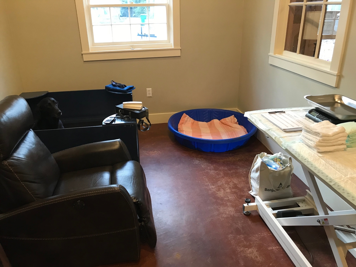 Whelping Room